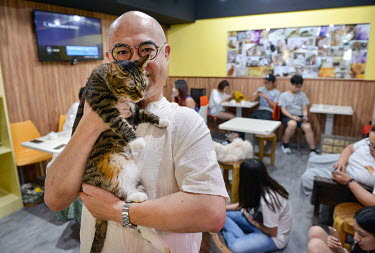Owner Tsai Wen-chieh (60), holds a cat at the Genki Cats Cafe.
