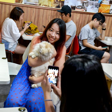 A customer poses for a photo with one of the cats at the Genki Cats Cafe.