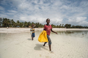 Boys carry empty sacks out to seaweed farmers as they harvest their crop.