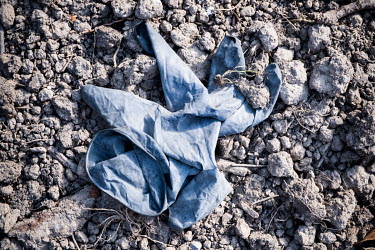 A discarded rubber glove on the ground near the Brugmann University Hospital.  Following the spread of the coronavirus around many European countries, people have started wearing face masks and rubber...