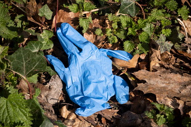 A discarded rubber glove on the ground near the Brugmann University Hospital.  Following the spread of the coronavirus around many European countries, people have started wearing face masks and rubber...