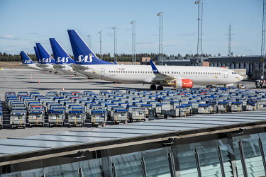 Grounded SAS aircraft lined up on the tarmac at Gardermoen Airport beside rows of unused luggage carts.  Restrictions on public gatherings and travel have grounded most aeroplanes, and stopped nearly...