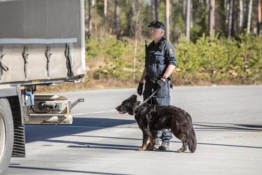 A customs officer with a dog checking a car at the closed border crossing point with Sweden.