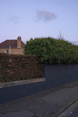 A perimeter hedge in Ravelston.  Hedges offer increased privacy, isolating the homeowner and emphasising the division of public and private space. Where boundaries between properties meet we see a col...
