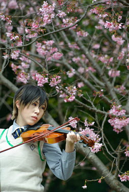 A girl plays a violin beneath the blossoming cherry trees in Yang Ming Pak during 'Sakura season'.   Taiwan's early response to the coronavirus threat has prevented a serious outbreak in the country a...