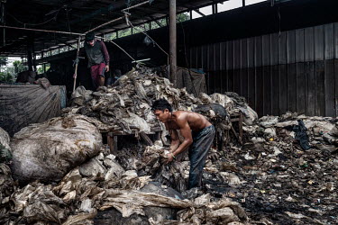 A worker gathers hand fulls of white plastic bags from a pile sorted by colour at Aneka Plastic, a factory that recycles plastic collected from the Bantar Gabang landfill site. The bags are washed and...