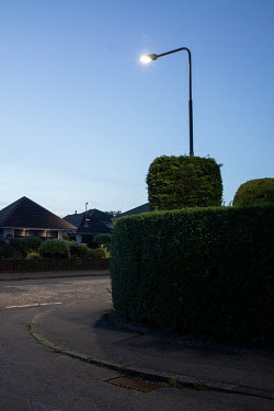 Border hedges surround properties in Blackhall.  Hedges offer increased privacy, isolating the homeowner and emphasising the division of public and private space. Where boundaries between properties m...
