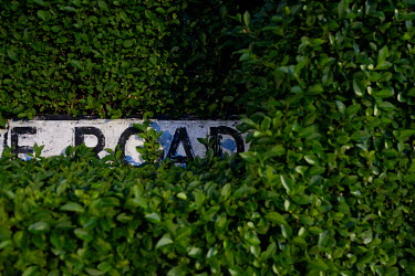 A border hedge grows over a road sign in Blackhall.  Hedges offer increased privacy, isolating the homeowner and emphasising the division of public and private space. Where boundaries between properti...