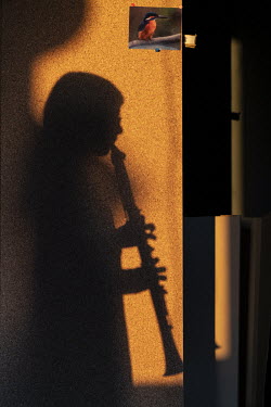 Billie's shadow, made by the last rays of sunshine as she rehearses on the clarinet.  When Belgium followed much of the rest of the world into lockdown, Nick Hannes, like many Panos photographers, fou...