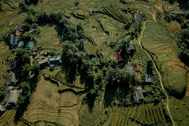 A view of recently harvested terraced rice fields from the new cable car ride to Mount Fansipan.