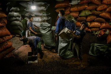Workers filling bags with dried black cardamoms (thao qua) for a truck shipment heading for China. Cardamom is often used in for medicinal purposes and especially in traditional Chinese medicine and m...