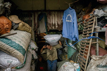 A worker, at Hue Hoan, a cardamom dealer's shop, loads sacks of black cardamom (Thao Qua) onto a truck for a shipment heading to China for use in traditional Chinese medicine.