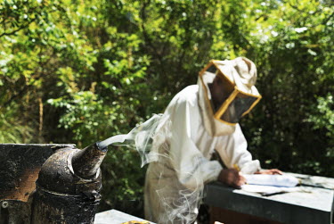 Giovanni taking notes after inspecting some hives containing colonies of the sub species of bee Apis mellifera sicula (black Sicilian honey bees). Unique to Sicily, hives containing the bees were disc...
