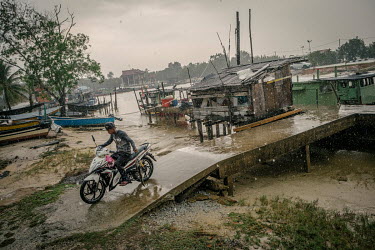 A young boy, one of the crew members aboard the fishing boat that just returned to port, rides his scooter home in the downpour carrying a single large fish that was caught on their night expedition t...