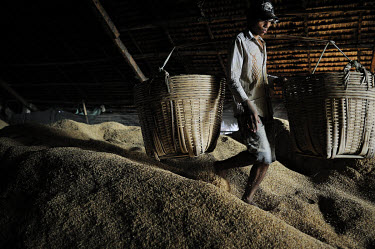 A man in a storage warehouse moves rice husks in bamboo baskets suspended from a yoke. The husks are used as an alternative to fossil fuels in the region's brick factory's furnaces.