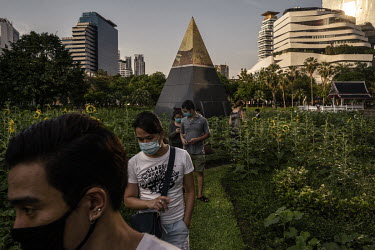 People exercise in Benchasiri Park the day it reopened as part of an easing of lockdown restrictions.