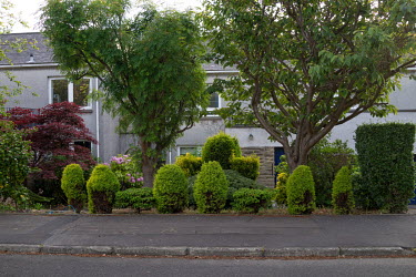 A collection of small hedges and trees at the front of modern housing in Trinity.  Hedges offer increased privacy, isolating the homeowner and emphasising the division of public and private space. Whe...