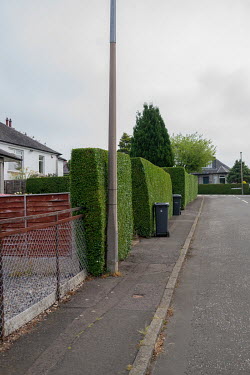 Border hedges and waste bins on the street in Blackhall.  Hedges offer increased privacy, isolating the homeowner and emphasising the division of public and private space. Where boundaries between pro...