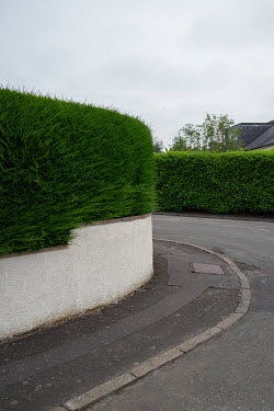 Border hedges in Blackhall.  Hedges offer increased privacy, isolating the homeowner and emphasising the division of public and private space. Where boundaries between properties meet we see a collisi...