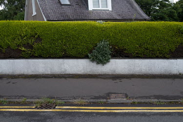 A walled boundary hedge in Craigleith.  Hedges offer increased privacy, isolating the homeowner and emphasising the division of public and private space. Where boundaries between properties meet we se...