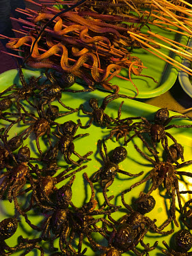 A street vendor at a night market selling cooked snacks such as spiders and snakes.