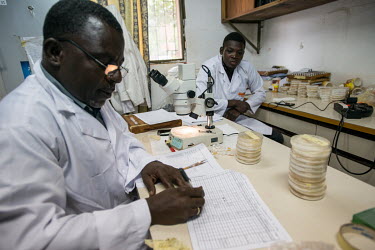 Idrissa Drame, a medical entomologist, and his team categorise and test mosquitos for malaria infection at the Centre National de Recherche et de Formation sur le Paludisme (National Centre for Resear...