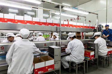 Employees working on a production line sort and package 'Shuanghui' branded sausages made from imported pork meat, supplied by Smithfield Foods Inc., at a WH Group Ltd. facility. As China prohibits im...