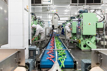 Workers sort packaged sausages on a production line that manufactures Shuanghui branded sausages at a WH Group Ltd. facility in Zhengzhou, China, on Thursday, April 13, 2017. WH Group opened an 800 mi...