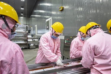 Factory employees pack sliced ham made from imported pork meat, supplied by Smithfield Foods Inc., on a production line at a WH Group Ltd. facility that processes the pork into ham. As China prohibits...