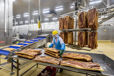 A factory employee moves racks of imported pork bellies, supplied by Smithfield Foods Inc., that are being processed into bacon on a production line at a WH Group Ltd. facility. As China prohibits imp...