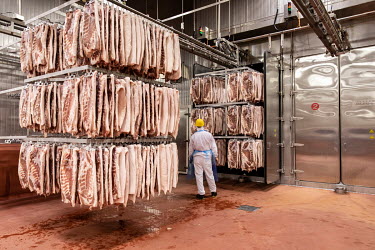 Employees handle racks of imported pork bellies, supplied by Smithfield Foods Inc., that will be processed into bacon on a production line at a WH Group Ltd. facility. As China prohibits imports of pr...