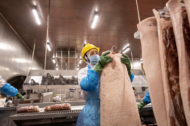 A production line employee hangs a side of imported pork belly, supplied by Smithfield Foods Inc., onto a rack during the making of bacon at a WH Group Ltd. facility. As China prohibits imports of pro...