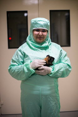 Researcher Zara Bamouh with a guinea pig in the lab animal testing unit at the MCI Sante Animale laboratory where MCI is developing a bivalent Rift Valley Fever (RVF)/Lumpy Skin Disease (LSD) vaccine...