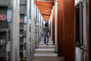 A technician walks past racks of computers at a bitcoin mining facility operated by Bitmain Technologies Ltd. Bitmain is one of the leading producers of Bitcoin-mining equipment and also runs Antpool,...