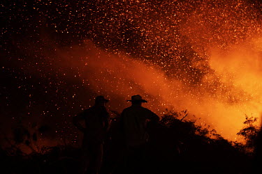 Firefighters and volunteers combat a wildfire at Jofre Velho farm, part of the Panthera Institute, a non-governmental organisation dedicated to the preservation and research of jaguars in the Pantanal...