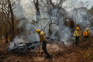 Members of the Brazilian Institute for the Environment and Renewable Natural Resources (IBAMA) fire brigade attempt to control a forest fire burning on the Santa Tereza farm in the Pantanal.  Since...