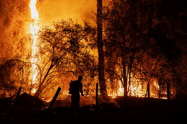A farm worker tries to control the flames as a fire burns through forest on the Santa Tereza farm in the Pantanal.  Since the beginning of 2020, the Pantanal has been facing the largest destruction...
