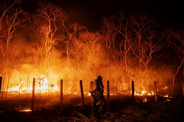 A farm worker tries to control the flames as a fire burns on the Santa Tereza farm in the Pantanal.  Since the beginning of 2020, the Pantanal has been facing the largest destruction by burning in i...