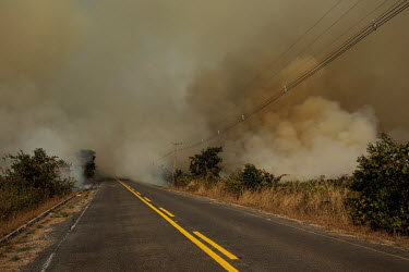 Thick smoke covers a road as wildfires burn undergrowth alongside the Porto Cercado road in the Pantanal.  Since the beginning of 2020, the Pantanal has been facing the largest destruction by burnin...