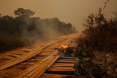 A wooden bridge on the Transpantaneira road burns as wildfires devastated vast swathes of the Pantanal.  Since the beginning of 2020, the Pantanal has been facing the largest destruction by burning...