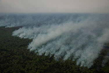 Smoke engulfs the forest as wildfires spread in the Pantanal.~~Since the beginning of 2020, the Pantanal has been facing the largest destruction by burning in its history. From January to September, f...