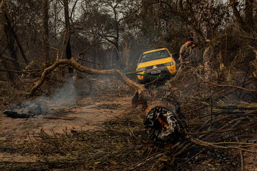 Workers from the Santa Tereza farm, in the Pantanal, remove burned trees that fell onto a road during a wildfire that swept through the region. The flames destroyed more than 60% of the 63,000 hectare...