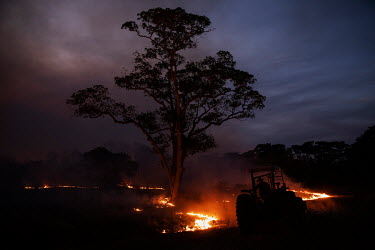 A worker from the Sao Francisco Perigara farm in the Pantanal, uses a tractor to try to contain a fire outbreak. The farm is home to one of the largest populations of hyacinth macaws in the world. Abo...