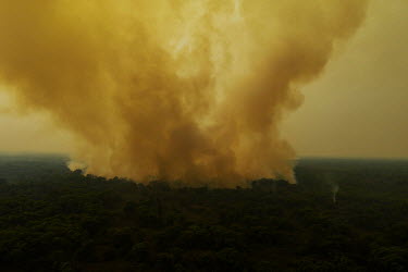 Smoke engulfs the forest as wildfires spread in the Pantanal.  Since the beginning of 2020, the Pantanal has been facing the largest destruction by burning in its history. From January to September,...