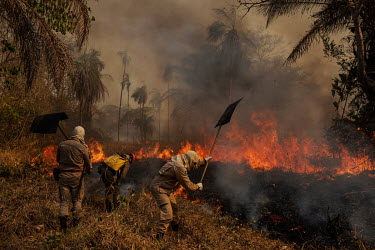 A fire fighter tries to put out the flames from a wildfire at the Sao Francisco de Perigara in Barao De Melgaco in the Pantanal, which is home to one of the largest populations of hyacinth macaws in t...