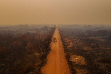 The burnt landscape alongside the Transpantaneira road near Porto Jofre, in the Pantanal.  Since the beginning of 2020, the Pantanal has been facing the largest destruction by burning in its history...