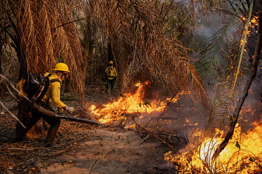 Members of the Brazilian Institute for the Environment and Renewable Natural Resources (IBAMA) fire brigade attempt to control a forest fire burning on the Santa Tereza farm, in the Pantanal.  Since...