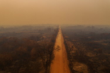 The burnt landscape alongside the Transpantaneira road near Porto Jofre, in the Pantanal.  Since the beginning of 2020, the Pantanal has been facing the largest destruction by burning in its history...