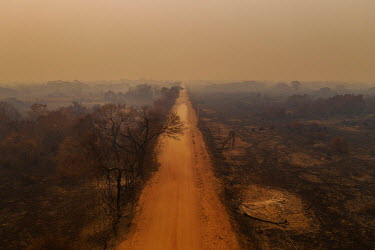 The burnt landscape alongside the Transpantaneira road near Porto Jofre, in the Pantanal.~~Since the beginning of 2020, the Pantanal has been facing the largest destruction by burning in its history....