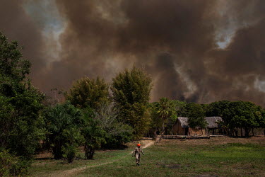 A firefighter walks away from a house, on the banks of the Cuiaba River in the Pantanal, that, along with his colleagues, he has been trying to save from wildfires sweeping through the area.   Since...